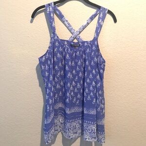 Express Sheer Blue Top